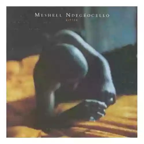 Meshell Ndegeocello: Bitter