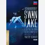 Piotr Ilyitch Tchaikovsky: Il Lago Dei Cigni (DVD)