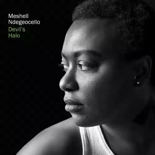 Meshell Ndegeocello: Devil's halo