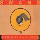 Swans: Various Failures 1988-1992 (disc 1: Yellow)
