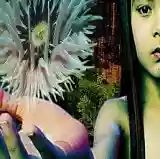 The Future Sound of London: Lifeforms (disc 2)
