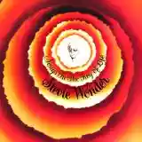 Stevie Wonder: Songs in the Key of Life (disc 1)