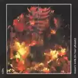 Coil: Moon's Milk (In Four Phases) (disc 1)