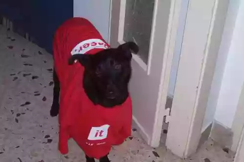 santi_bailor indossa zzzzzzzzz